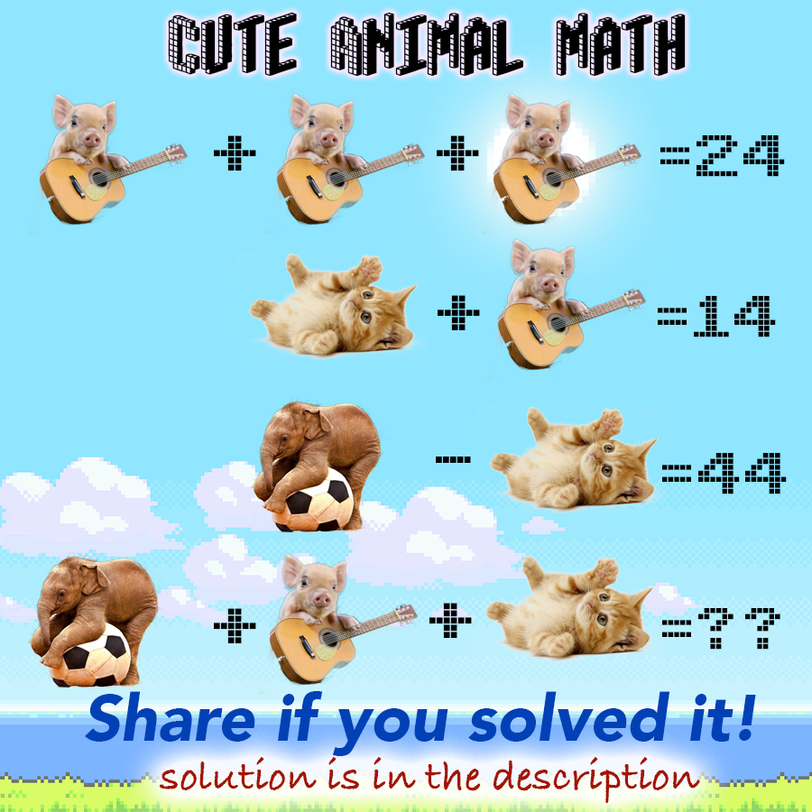Cute Animal Math